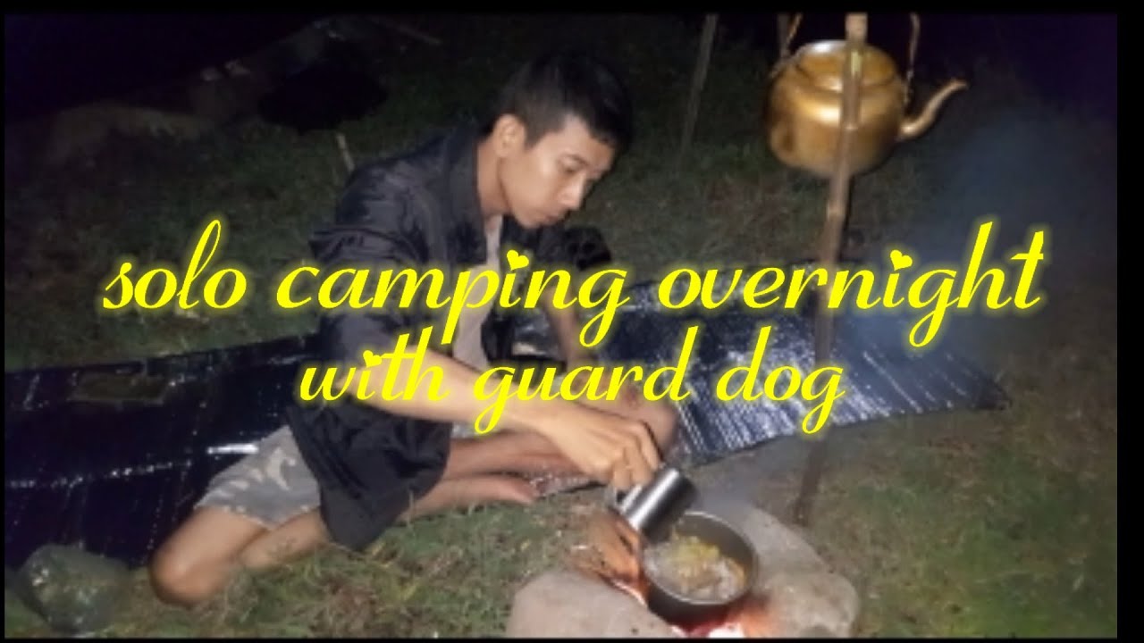 GUARDING THE FIELDS AT MIDNIGHT - The secrets to success