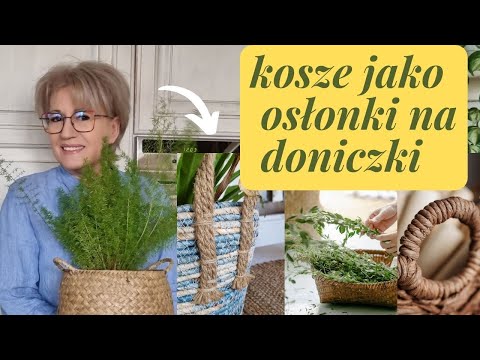 Wideo: Korzystanie z koszy jako pojemników: jak dbać o rośliny w koszach