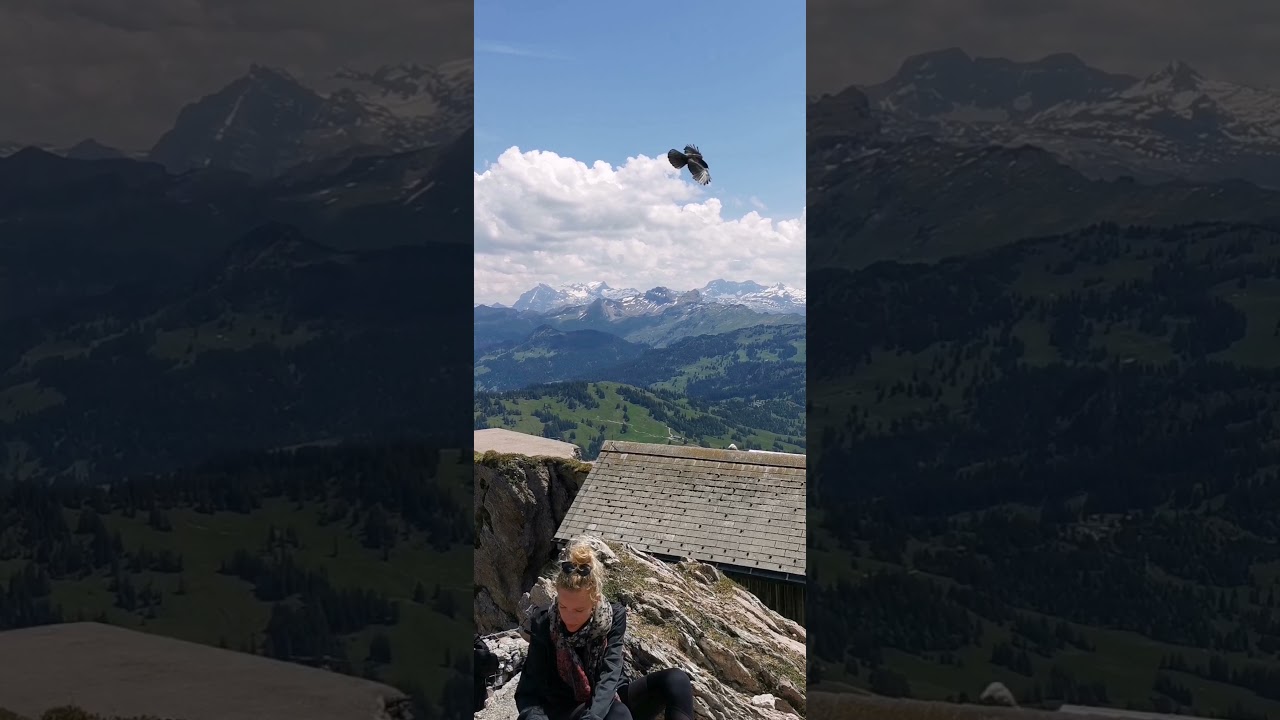 Fuchs Heli Grosser Mhyten 2