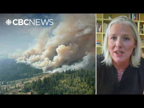 Wildfires, extreme weather are 'clearly climate <strong>change</strong>': former environment minister
