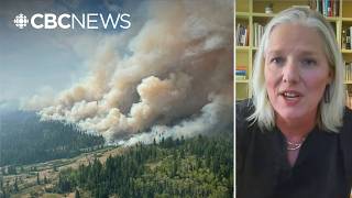Wildfires, extreme weather are clearly climate change: former environment minister