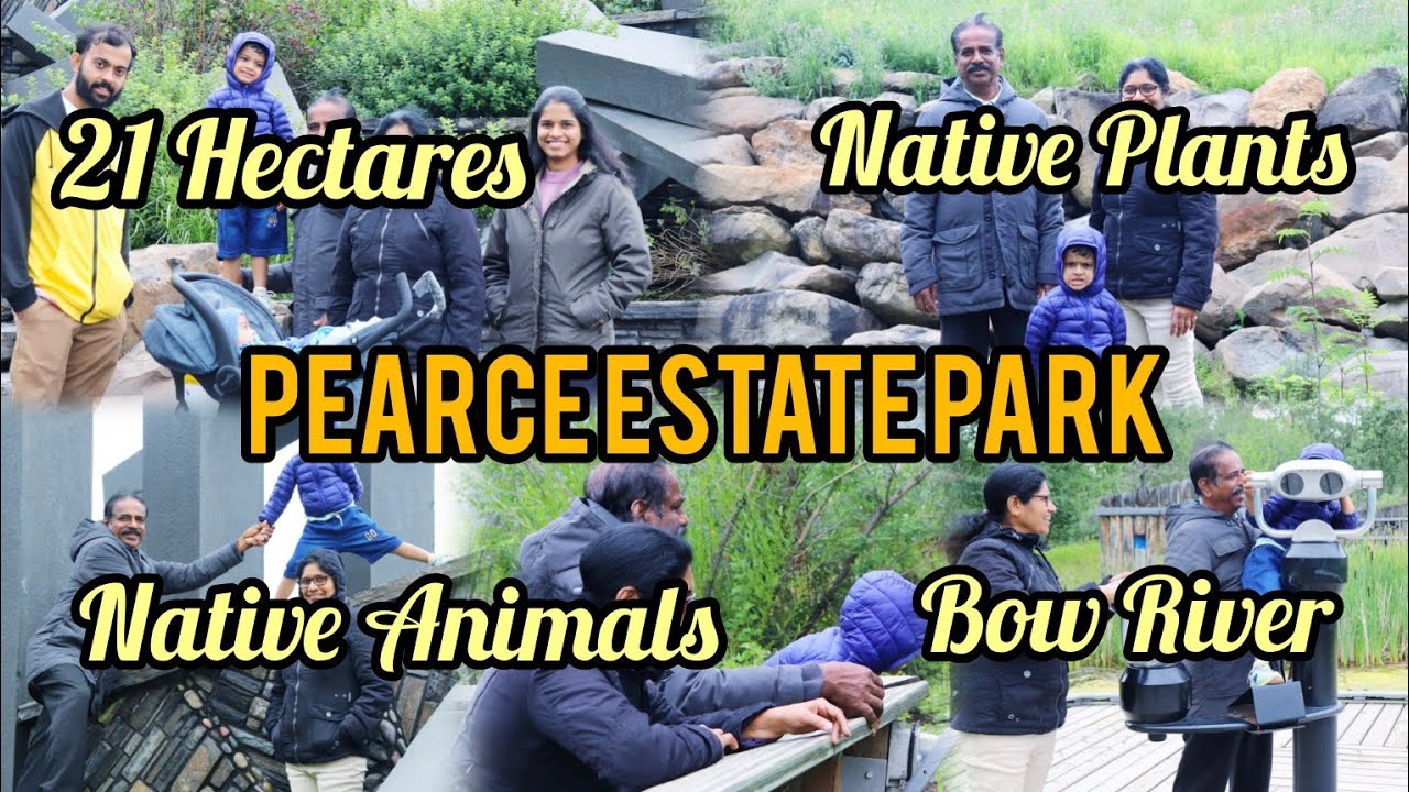 Exploring Pearce Estate Park | 21 Hectares along the Bow River | Native Plants & Animals