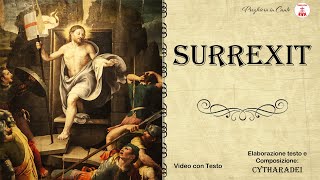 Surrexit - Suor Maria Grazia | Canti Religiosi & Musica Cristiana | LYRICS VIDEO