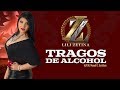 TRAGOS DE ALCOHOL "Lili Zetina con Mariachi" - Las Canciones del Jefe