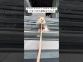 セブンイレブンでファミチキくださいって言ったから喧嘩になりました