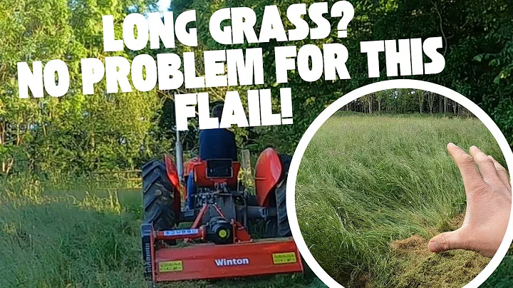 Long Grass? The Winton Heavy-Duty Flail Mower will make light work of it!