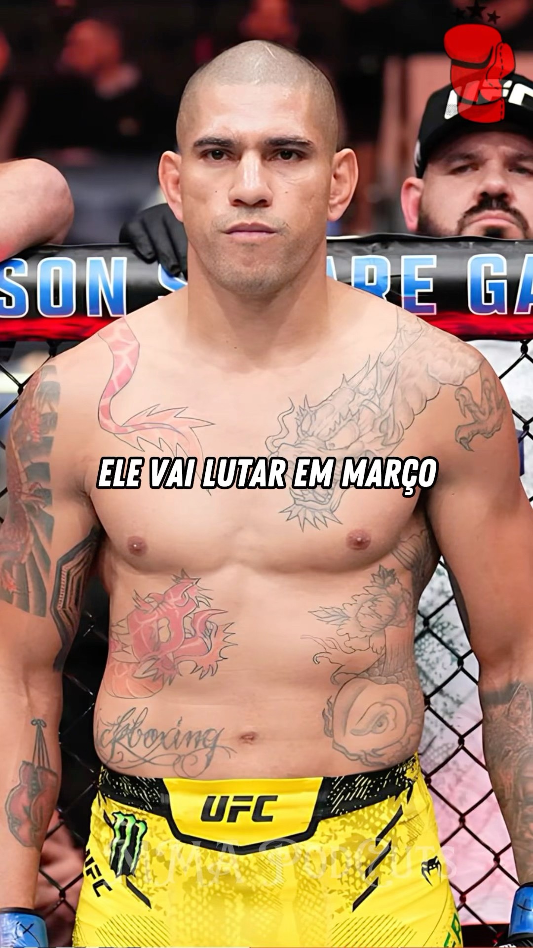 ALEX POATAN VAI LUTAR COM ANKALAEV? #mma #luta #boxe #ufc #foryou #shortsfeed #brasil
