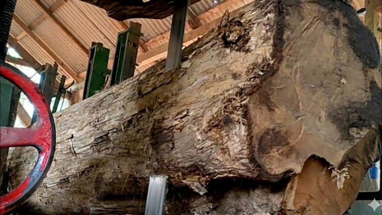 🌲 Красота текстуры старой тиковой древесины на лесопилке🌲