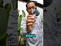 Kipas Mini King Lucky Kecepatan Sampai 150 #ngeunboxing