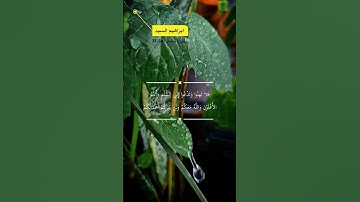 سورة محمد الاية 34-37
