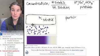 02 8 Concentration gradients Profile