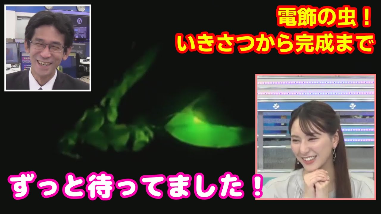 【白井ゆかり・山口剛央】電飾の虫（ホタル）いきさつから進捗報告、完成まで【ウェザーニュースLiVE】