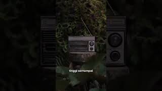 Download Lagu Lagu Kenangan - Iwan Fals - Jendela Kelas Satu MP3