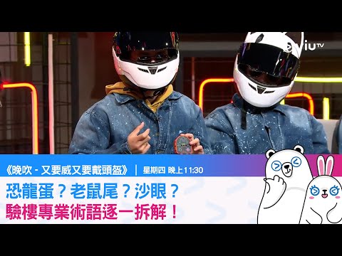 《又要威又要戴頭盔》恐龍蛋？老鼠尾？沙眼？驗樓專業術語逐一拆解！