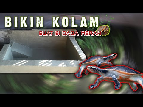 Cara Buat Kolam Kura2