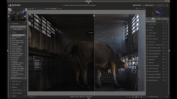 Darktable 3 5 Photography Edition 11 Behia: Color Balance RGB and Vectorscope