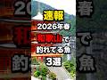 春の和歌山で釣れている魚3選#釣り #shorts#和歌山