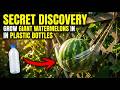 The FORBIDDEN Garden Secret: Grow GIANT Watermelons in Plastic Bottles!