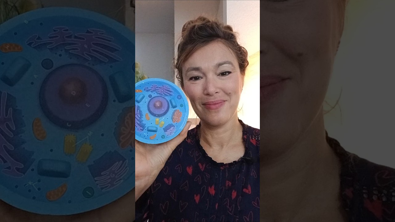 Eizellen einfrieren über 35: Was du unbedingt wissen solltest! BIOLOGIN ERKLÄRT