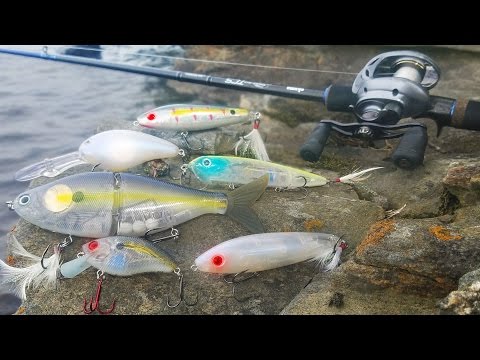 Fishing for Bass with Electronic Lures! - Canada (Livingston Lures