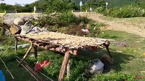 Măng tre khô Sản phẩm núi rừng Bác Ái, Ninh Thuận!