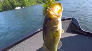 GoPro | FISHING in RHINELANDER!!