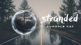 Chill, Lofi, Relax, Instrumental Music | Stranded • Purrple Cat [ Royalty Free ] Music For Videos