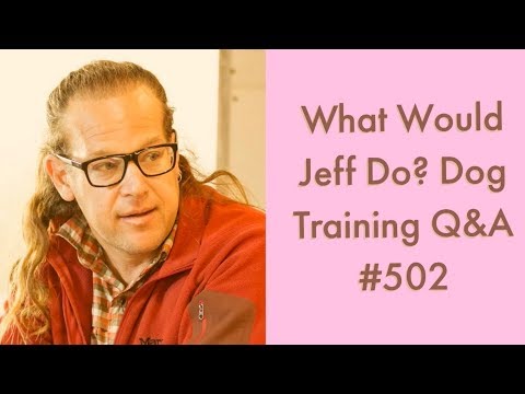 dog-whines-on-walks-|-stop-a-dog-from-barking-|-what-would-jeff-do?-dog-training-q-&-a-#502