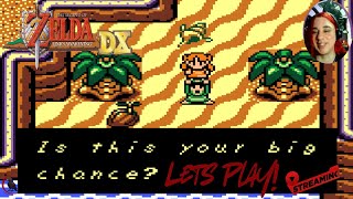 The Angry Bird! - Link's Awakening DX Live! (Livestream) P6 (Portrait)