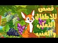قصص الاطفال قصة الثعلب الصغير والعنب         