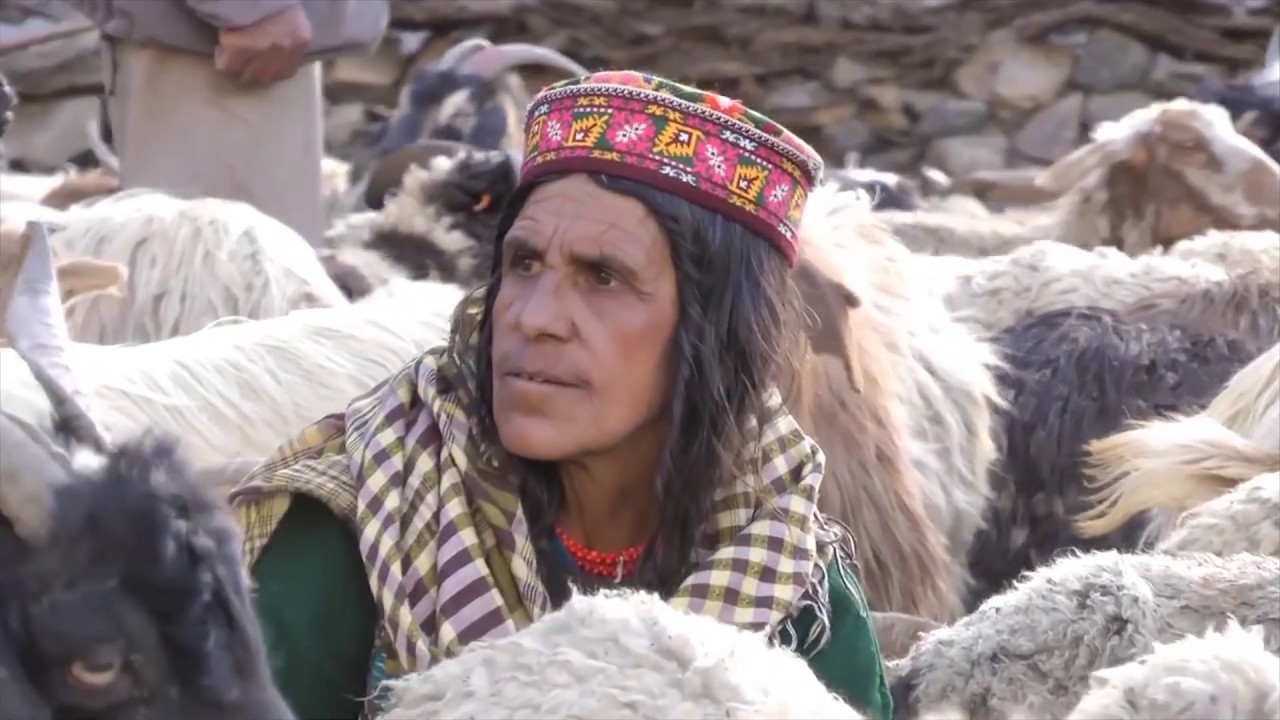 Broghil(The Forgotten North)