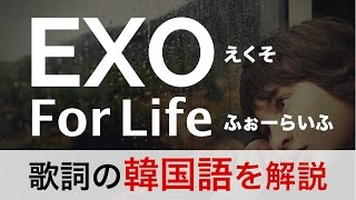 K Popで学ぶ韓国語 For Life フォーライフ Exo エクソ の歌詞を日本語で詳しく解説 韓国語メディア Pegopa K Popで学ぶ韓国語 For Life フォーライフ Exo エクソ の歌詞を日本語で詳しく解説 韓国語メディア Pegopa