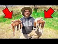 Building a DIY WORM FARM in My BACKYARD!!! (Pet Fish Feeding)