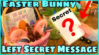 Giant Easter Egg Hunt and Finding Easter Baskets 2020 #easteregghunt