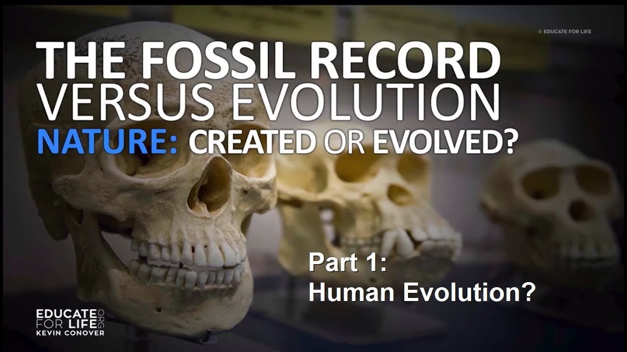 Creationist Online Course Part 1: Human Evolution