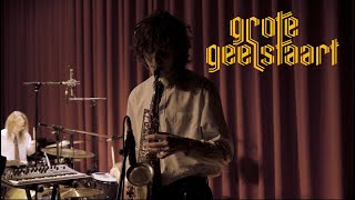 Grote Geelstaart - Muurvast Beton Live