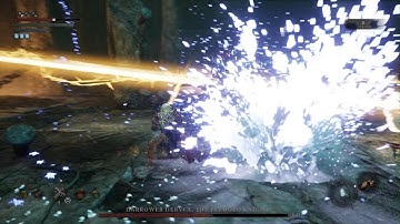 Lords of the Fallen - Harrower Dervla, The Pledged Knight