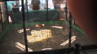 Mondo Bizarro Vs The Rolling Pin Bot Blast 2013 Beetleweight Final