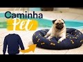 DIY - Caminha PET com MOLETOM