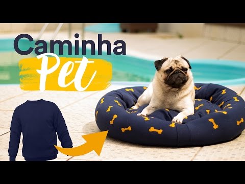 Vídeo: Como Costurar Um Cachorro De Travesseiro