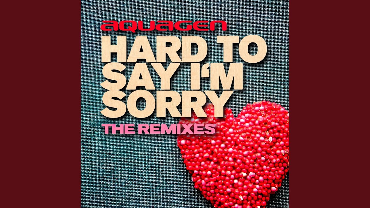 Hard To Say I'm Sorry (Radio Edit)