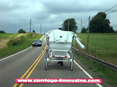 Horse and Carriage -- Wedding Carriage -- Victorian Carriage 8c -- Carriage LimWedding Carsine Service