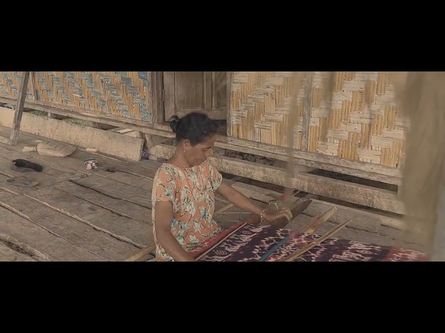 Proses Kain Tenun khas Sumba Timur || Cinematic #sumbatimur #ntt #tenunsumba #sumbawaisland class=