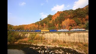 영동선 석포~승부 구간을 주행중인 화물 #3967열차 (8000호대 기관차견인)