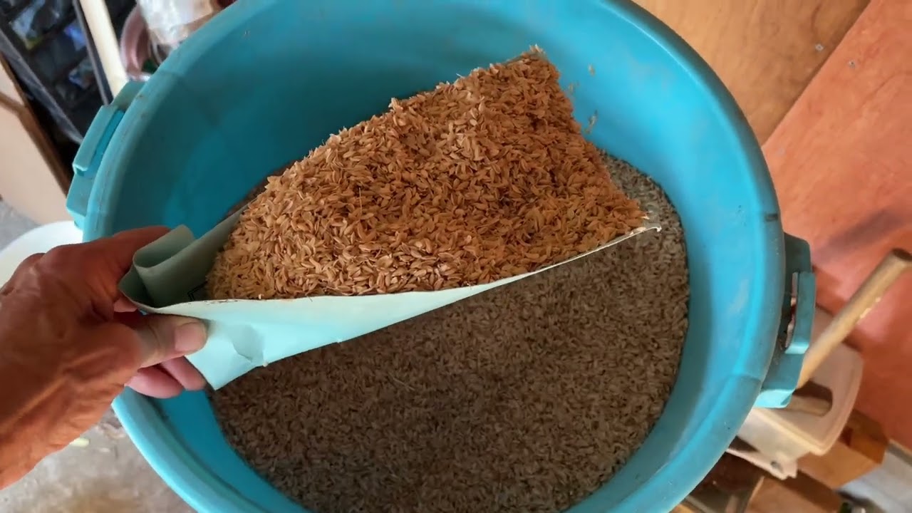 Rice husk insulation to cavity walls