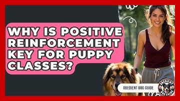 Why Is Positive Reinforcement Key For Puppy Classes? - Obedient Dog Guide
