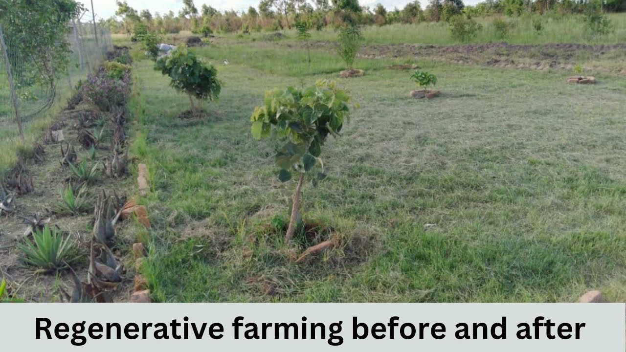 Regenerative agriculture Improving soil quality Regenerative