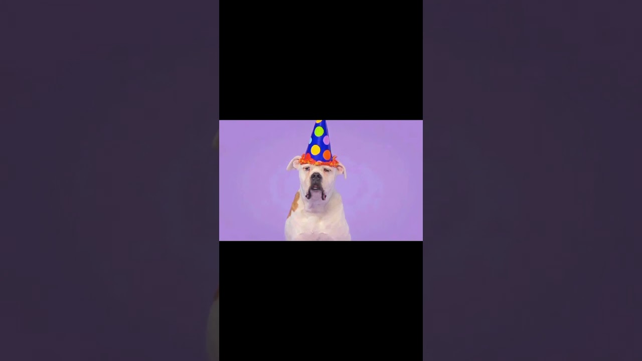 Dogs Sing happy birthday