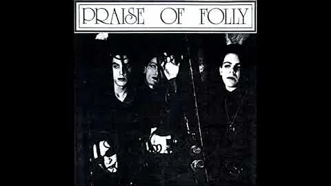 Praise Of Folly - Evelyn Window