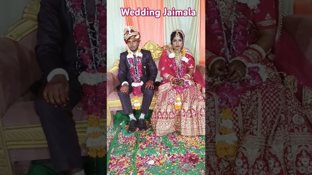 Indian Wedding New Video | Wedding Video Dehati # Jaimal | Jaimala Video | Jaimala 